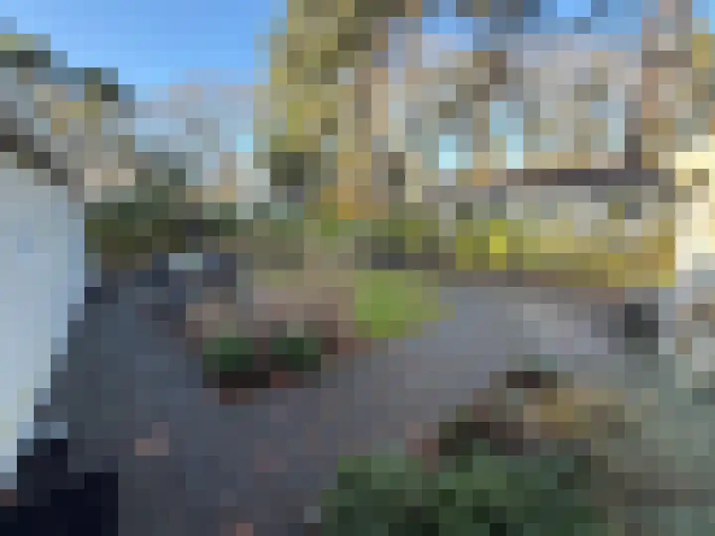 Vijverlaan 1 J23 Otterlo thumbnail 14