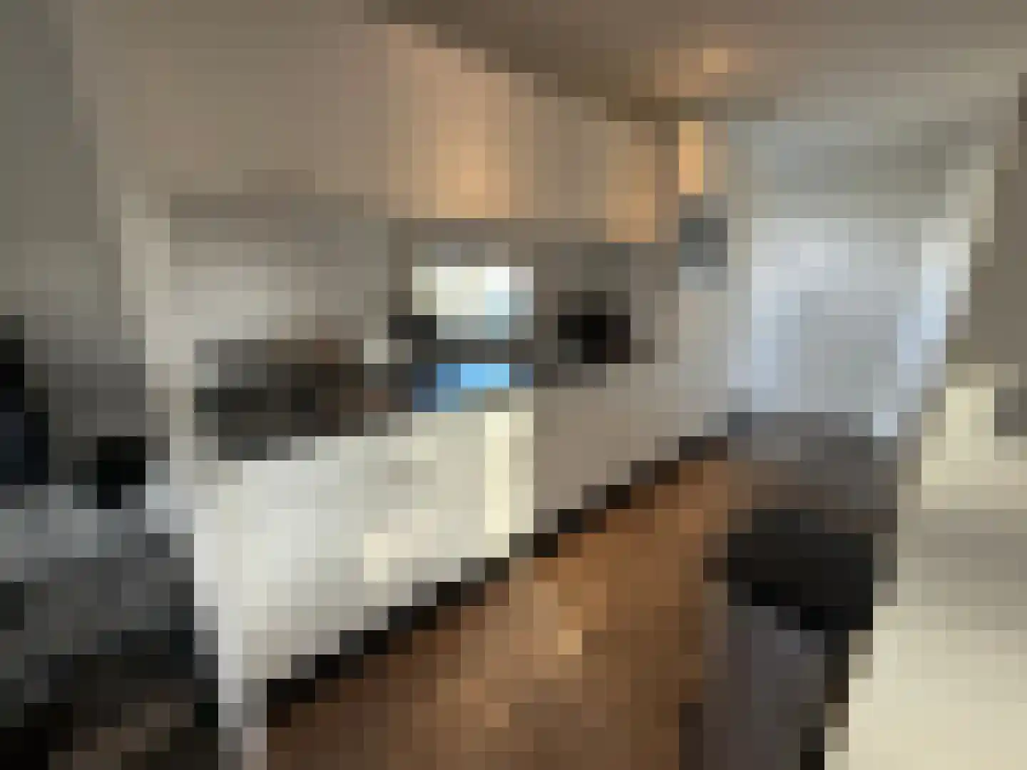Vijverlaan 1 J23 Otterlo thumbnail 7