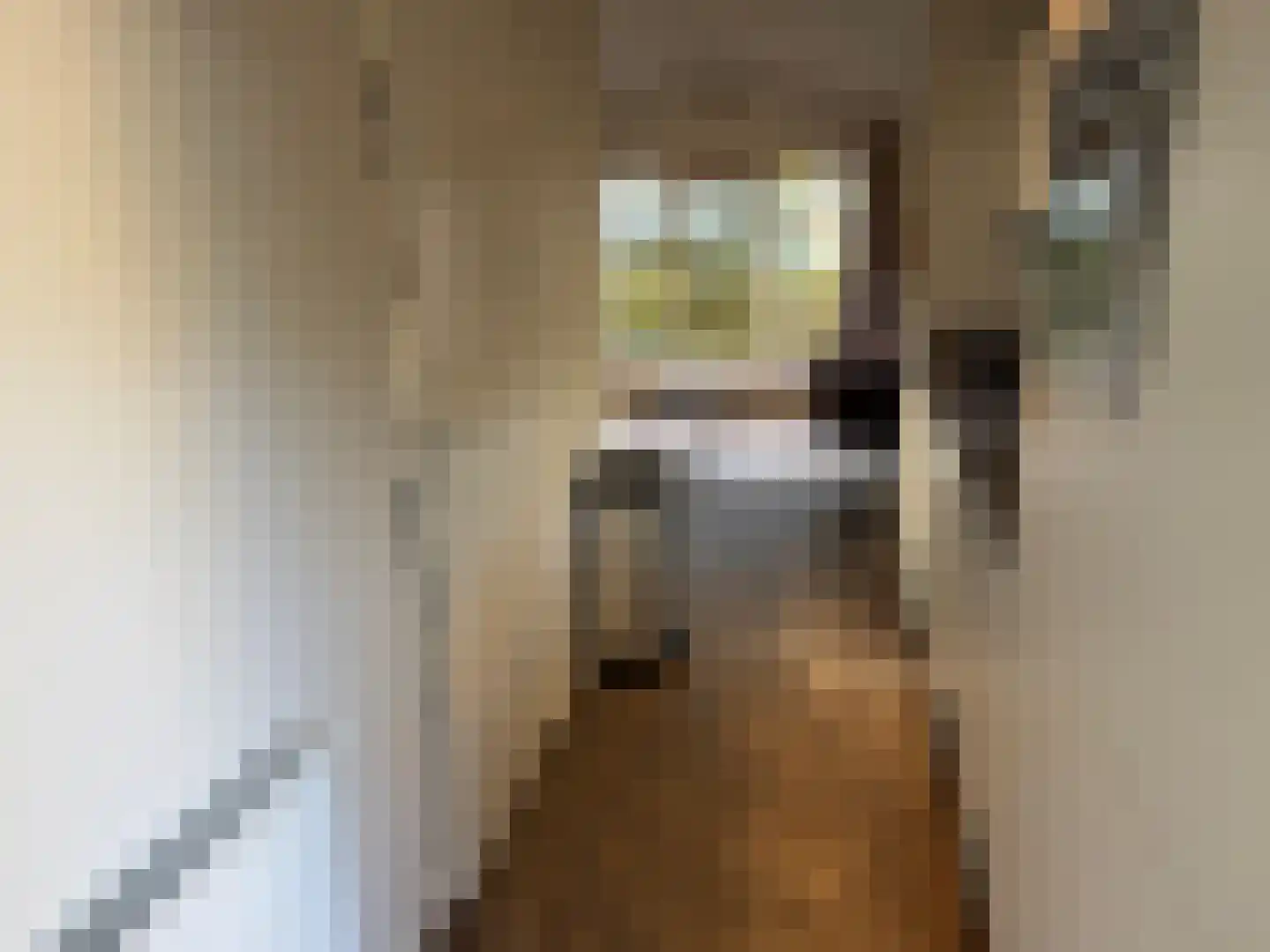 Vijverlaan 1 J23 Otterlo thumbnail 8