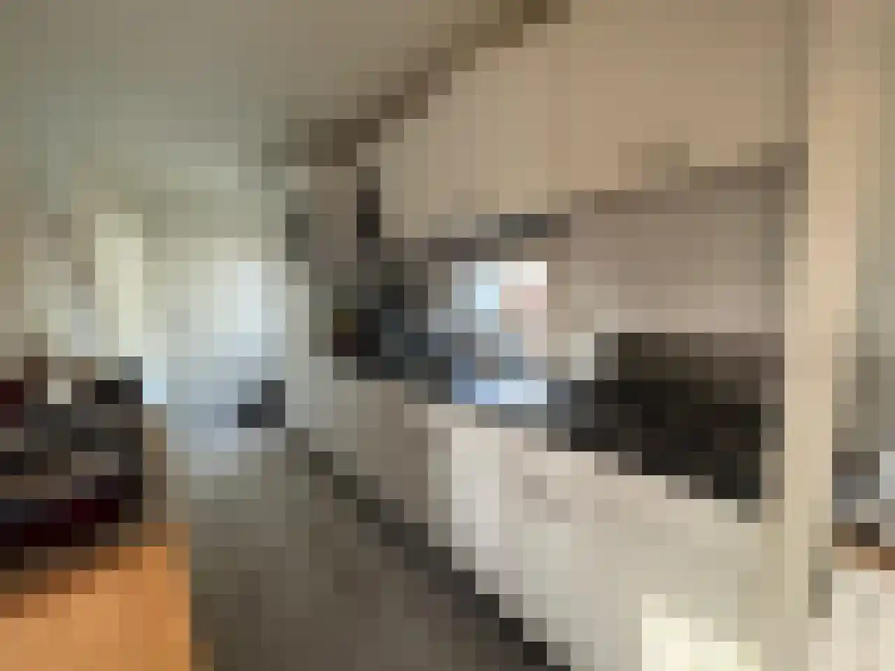Vijverlaan 1 J27 Otterlo thumbnail 9
