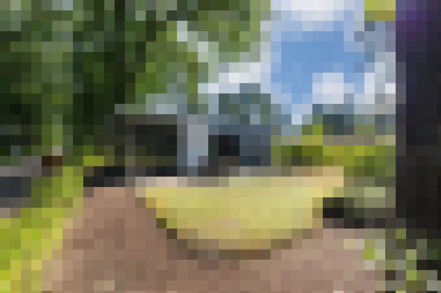 Vijverlaan 1 J3 Otterlo foto 2