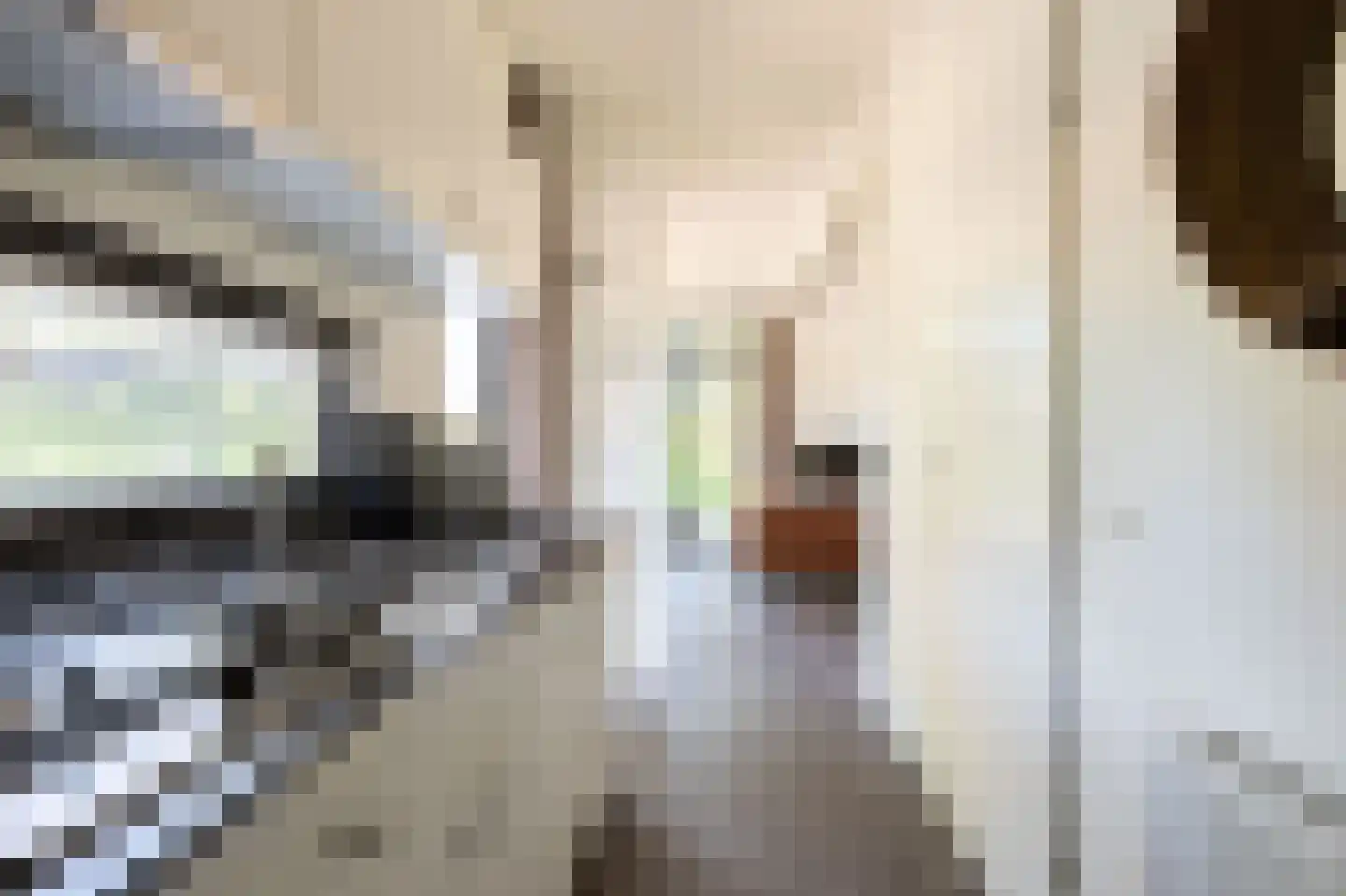 Vijverlaan 1 J3 Otterlo thumbnail 9