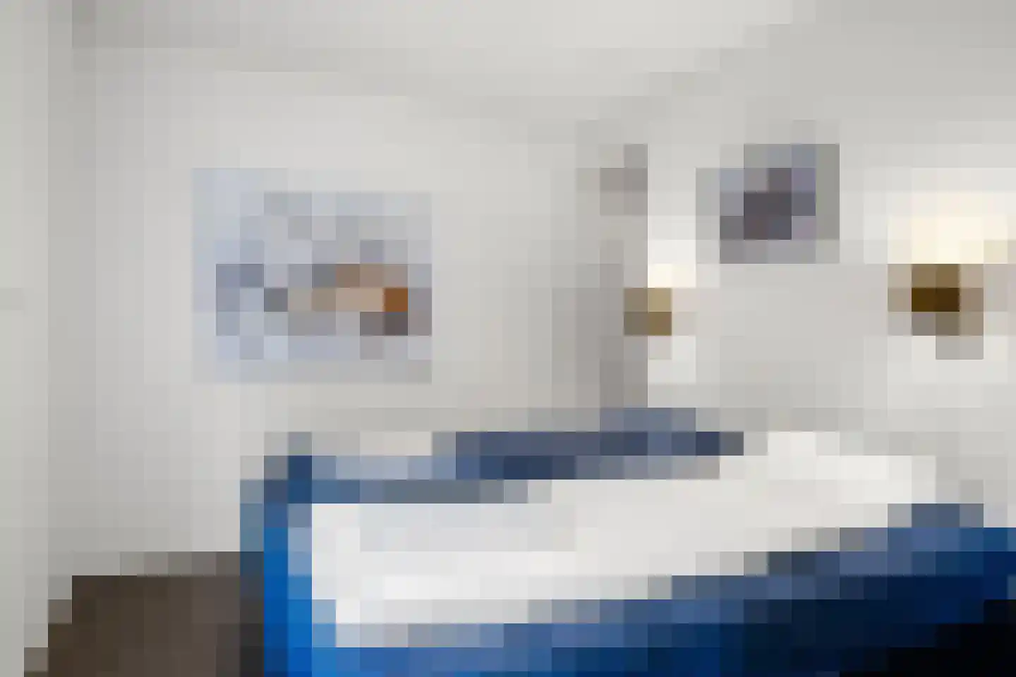 Vijverlaan 1 JB15 Otterlo thumbnail 14