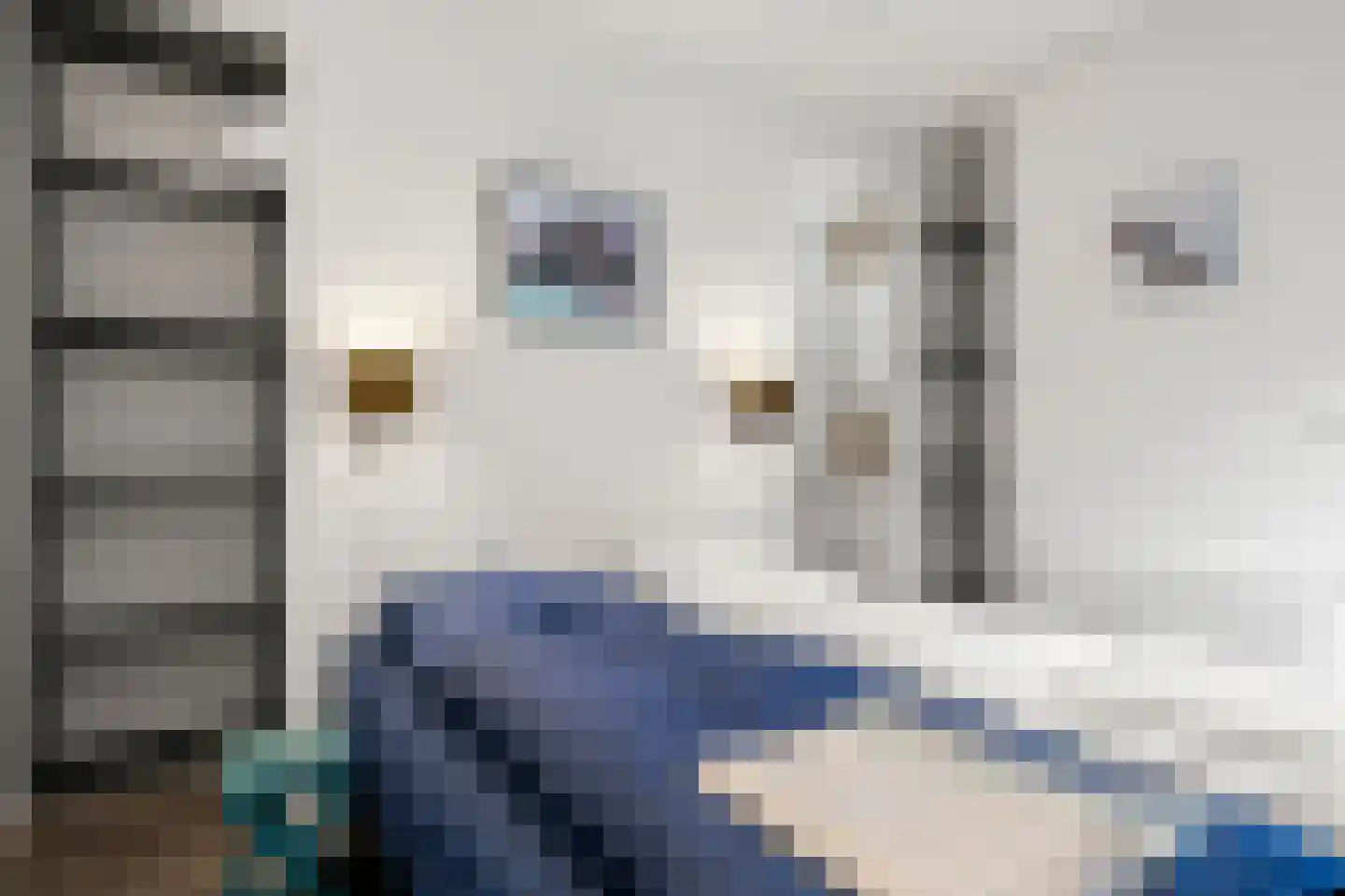 Vijverlaan 1 JB15 Otterlo thumbnail 15