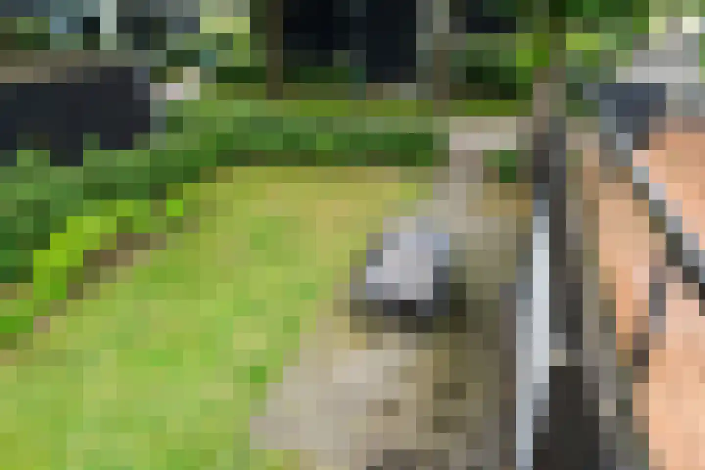 Vijverlaan 1 JB15 Otterlo thumbnail 29