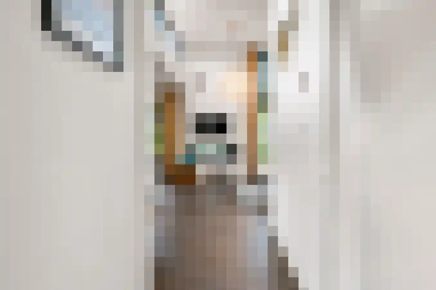 Vijverlaan 1 JB15 Otterlo thumbnail 6