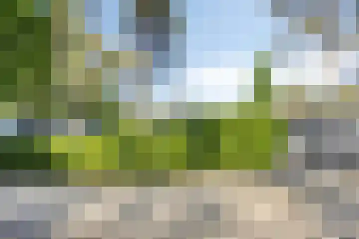 Vijverlaan 1 JB3 Otterlo thumbnail 17