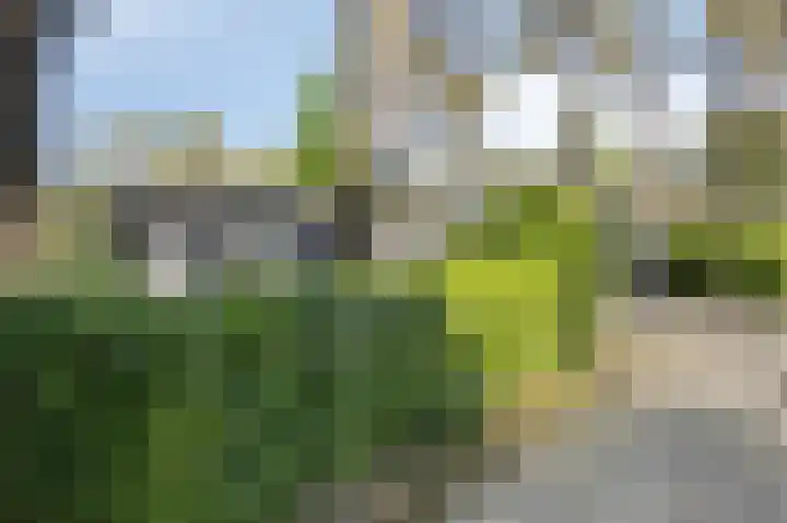 Vijverlaan 1 JB3 Otterlo thumbnail 18