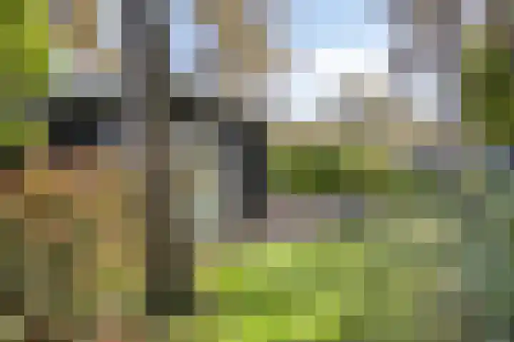 Vijverlaan 1 JB3 Otterlo foto 2