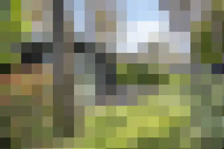 Vijverlaan 1 JB3 Otterlo foto 3