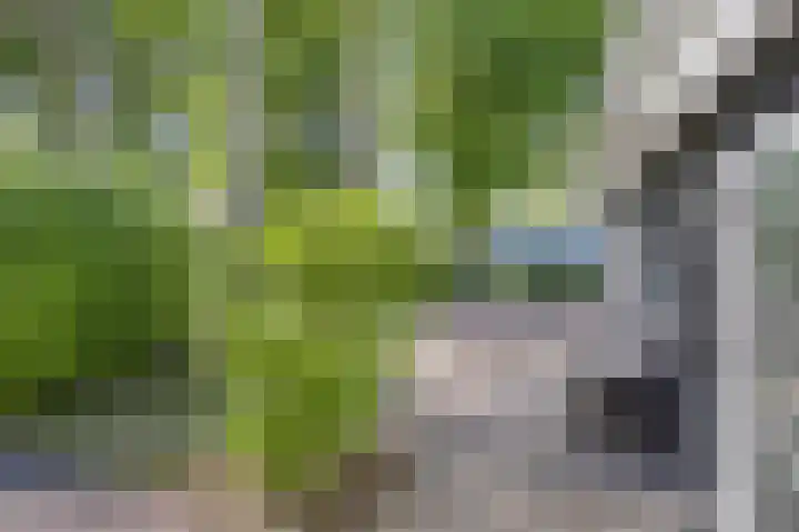 Vijverlaan 1 JB3 Otterlo thumbnail 4