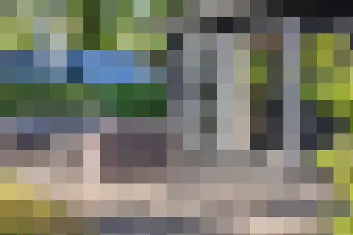 Vijverlaan 1 JB3 Otterlo thumbnail 6