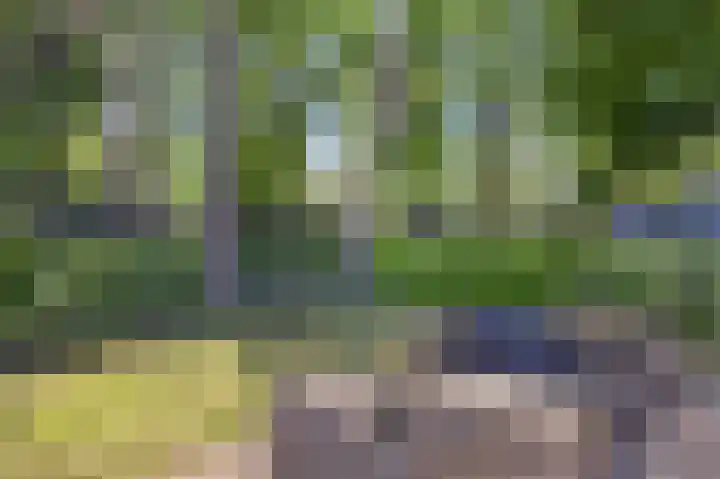 Vijverlaan 1 JB3 Otterlo thumbnail 7