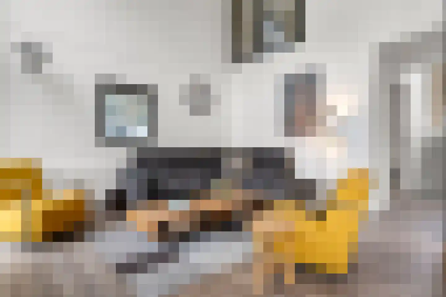 Vijverlaan 1 JB31 Otterlo thumbnail 12
