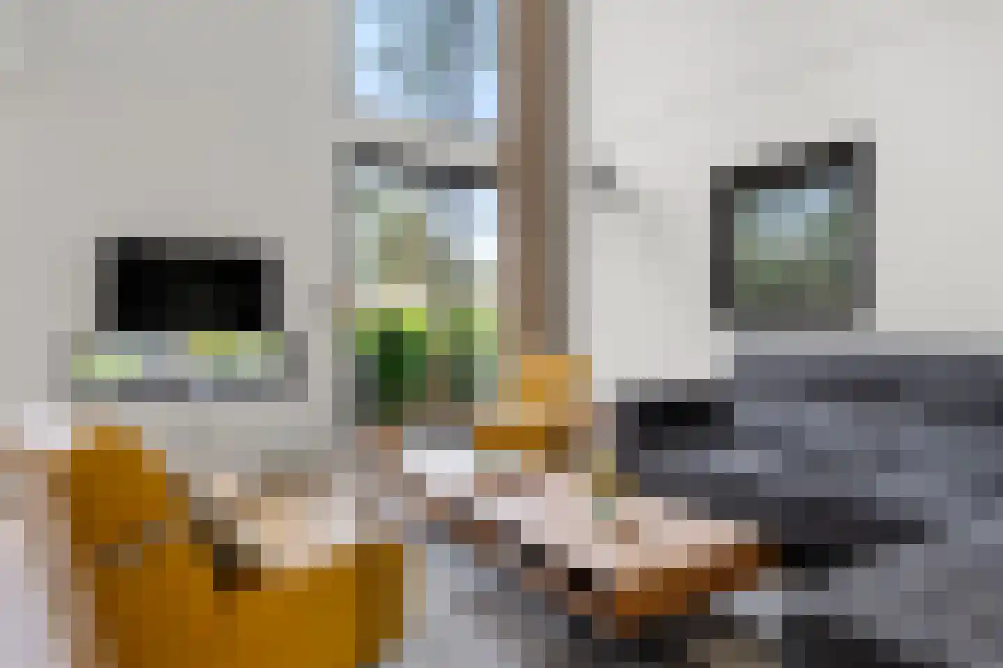 Vijverlaan 1 JB31 Otterlo foto 3