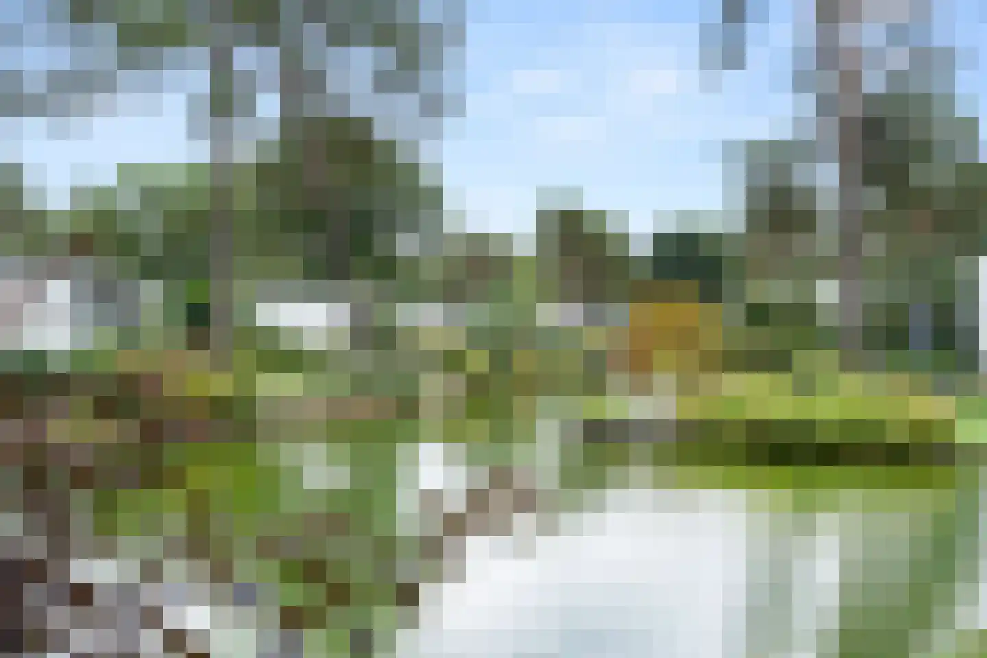 Vijverlaan 1 JB31 Otterlo thumbnail 5