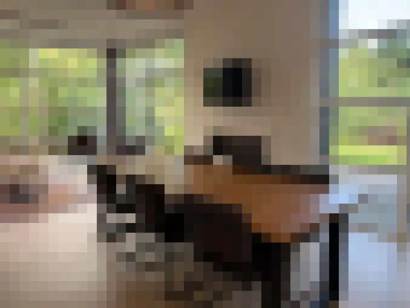 Vijverlaan 1 LV1 Otterlo thumbnail 11