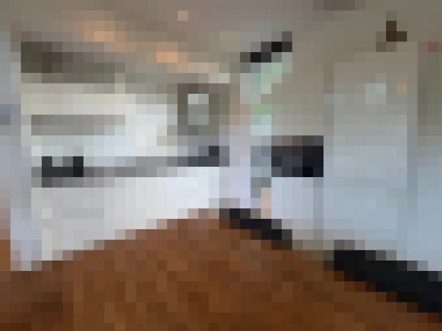 Vijverlaan 1 LV1 Otterlo thumbnail 13