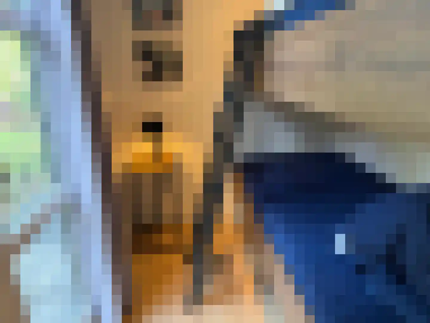 Vijverlaan 1 LV1 Otterlo thumbnail 17