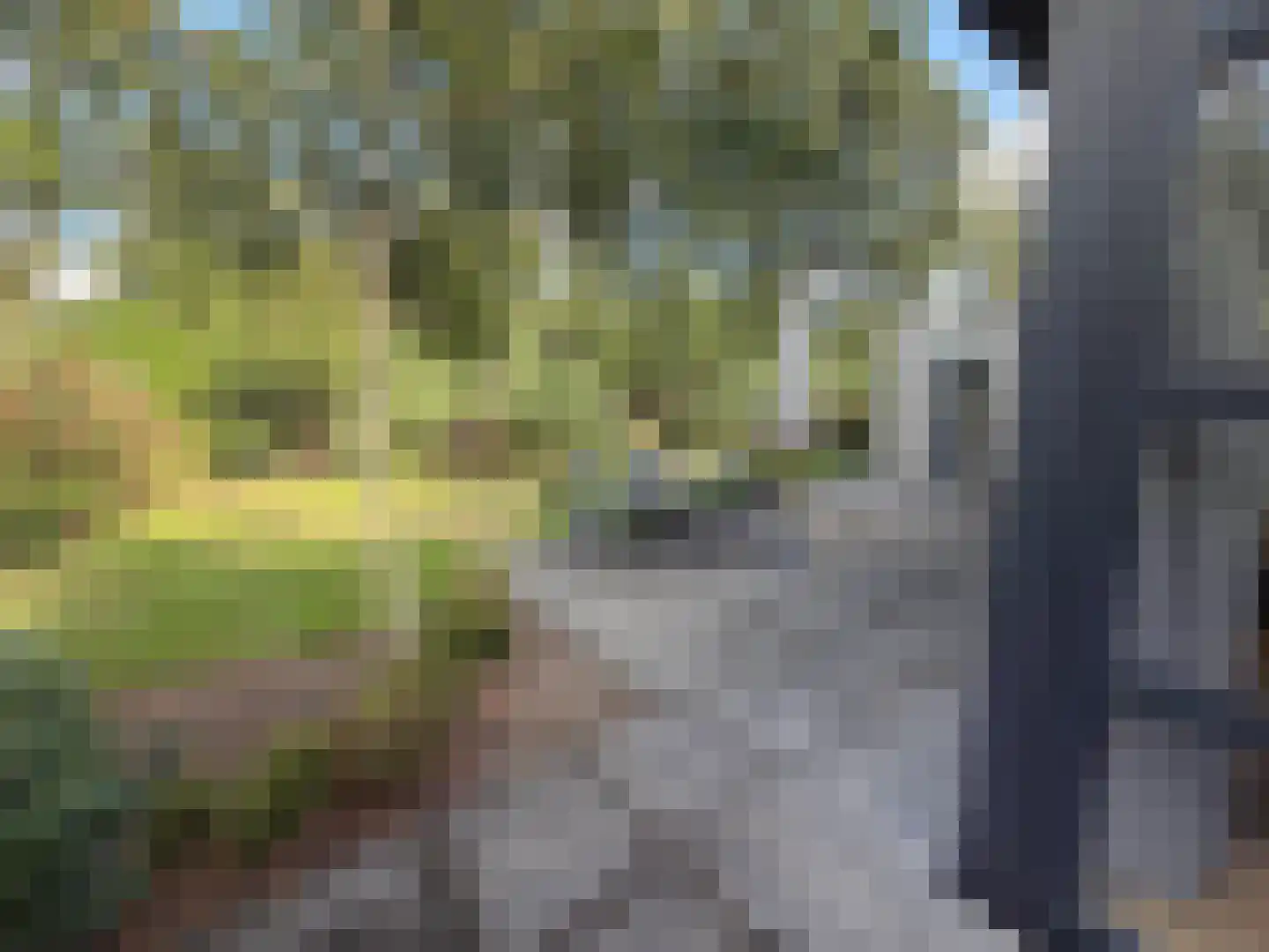 Vijverlaan 1 LV1 Otterlo thumbnail 22