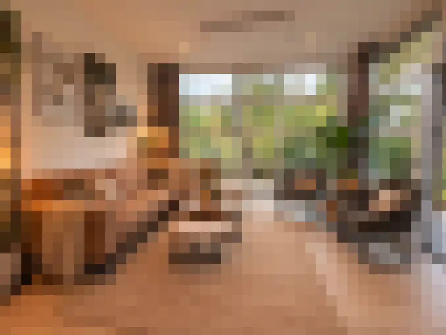 Vijverlaan 1 LV1 Otterlo foto 3