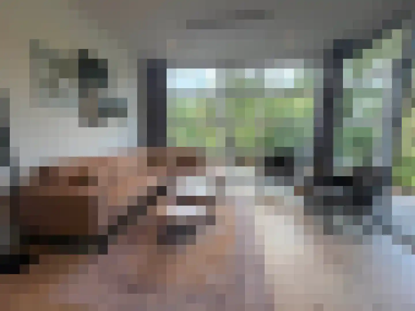 Vijverlaan 1 LV1 Otterlo thumbnail 5