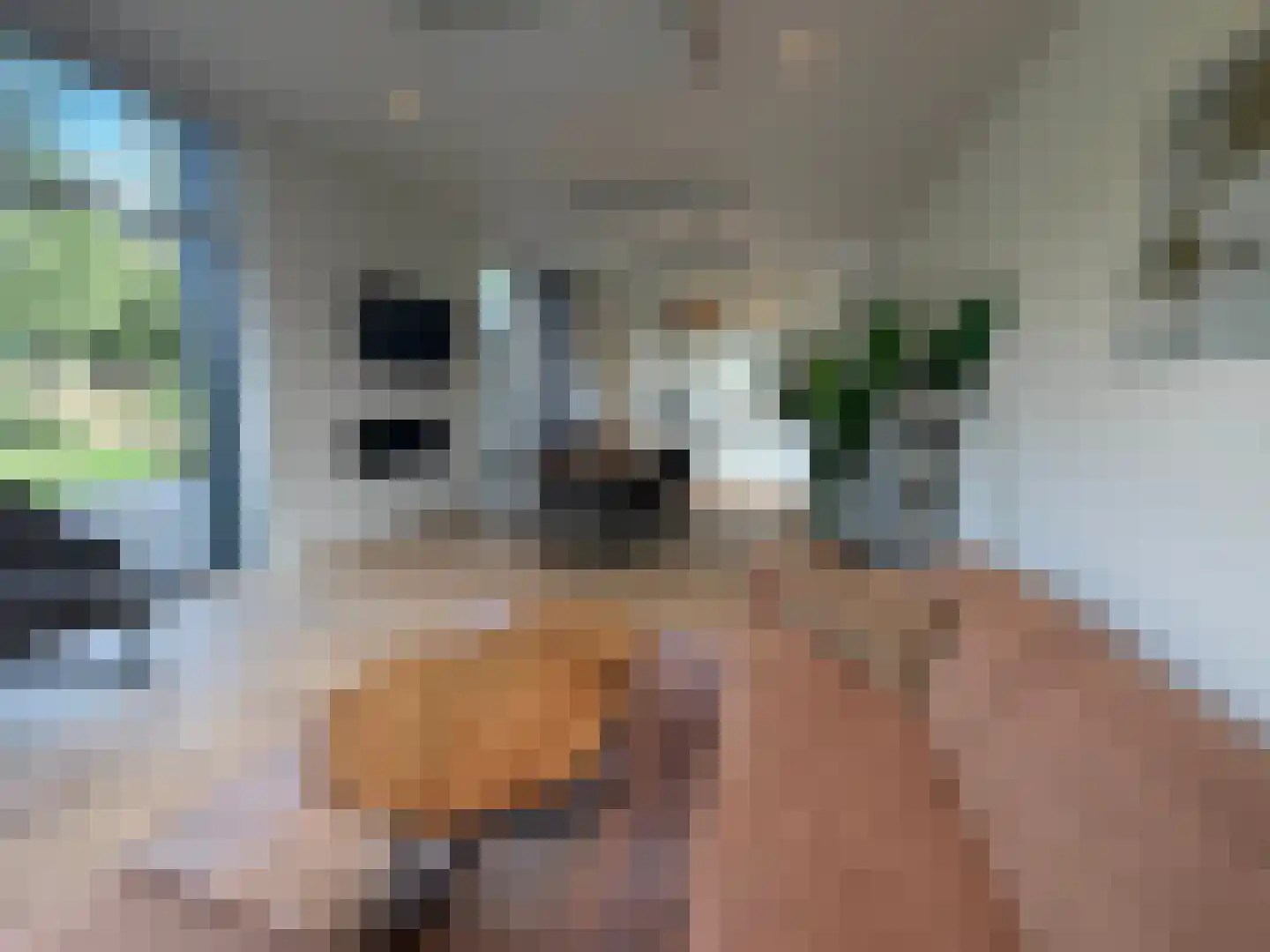 Vijverlaan 1 LV1 Otterlo thumbnail 6