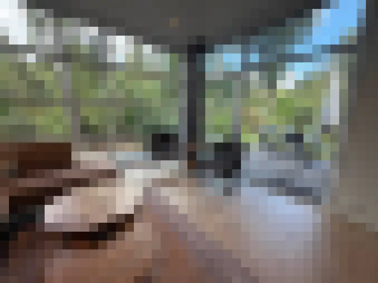 Vijverlaan 1 LV1 Otterlo thumbnail 7