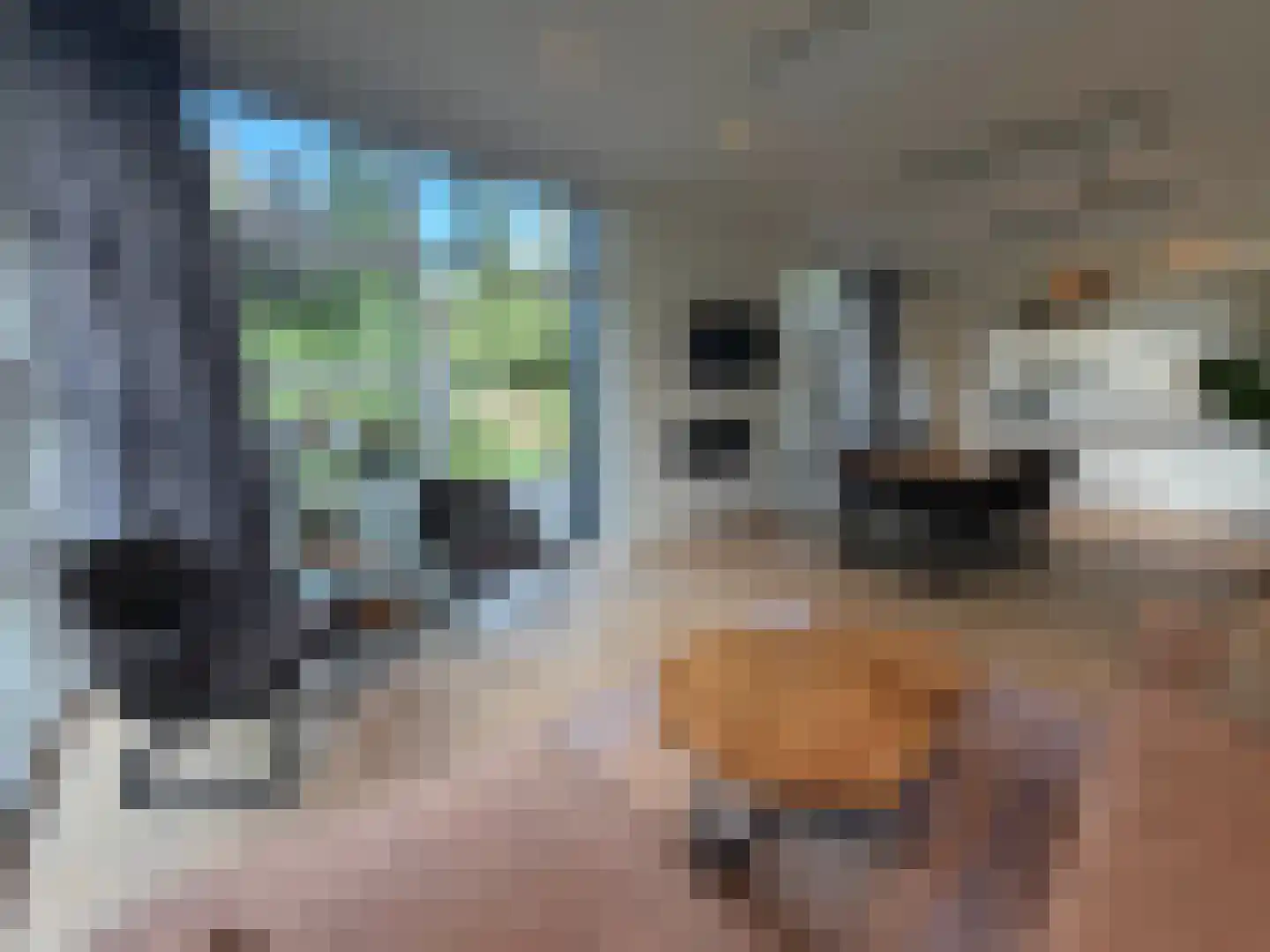 Vijverlaan 1 LV1 Otterlo thumbnail 8