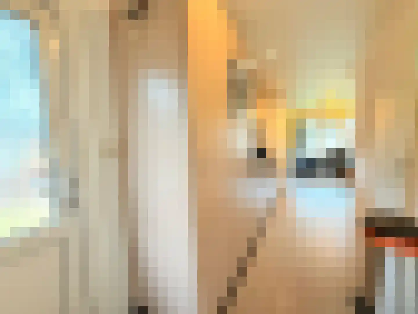 Vijverlaan 1 O13 Otterlo thumbnail 11