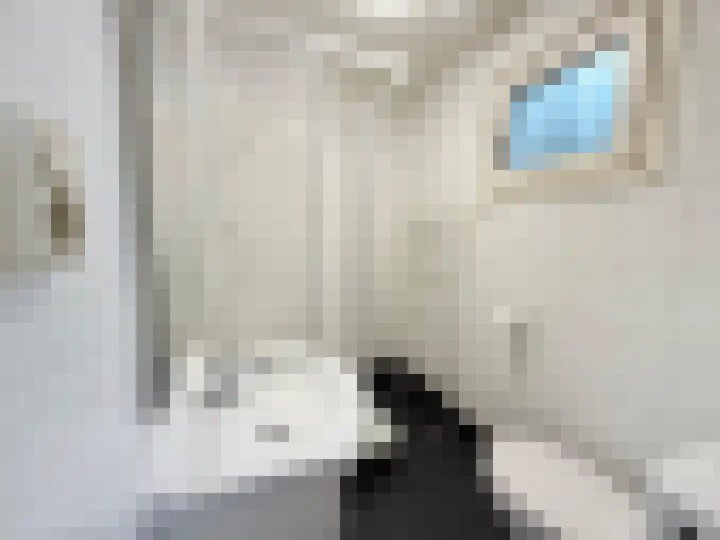 Vijverlaan 1 O13 Otterlo thumbnail 16