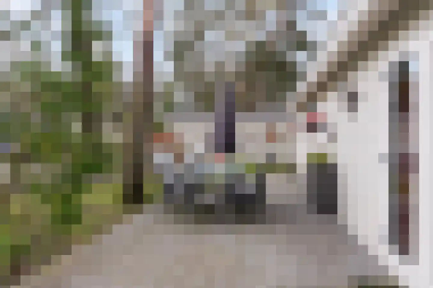 Vijverlaan 1 P01 Otterlo thumbnail 18
