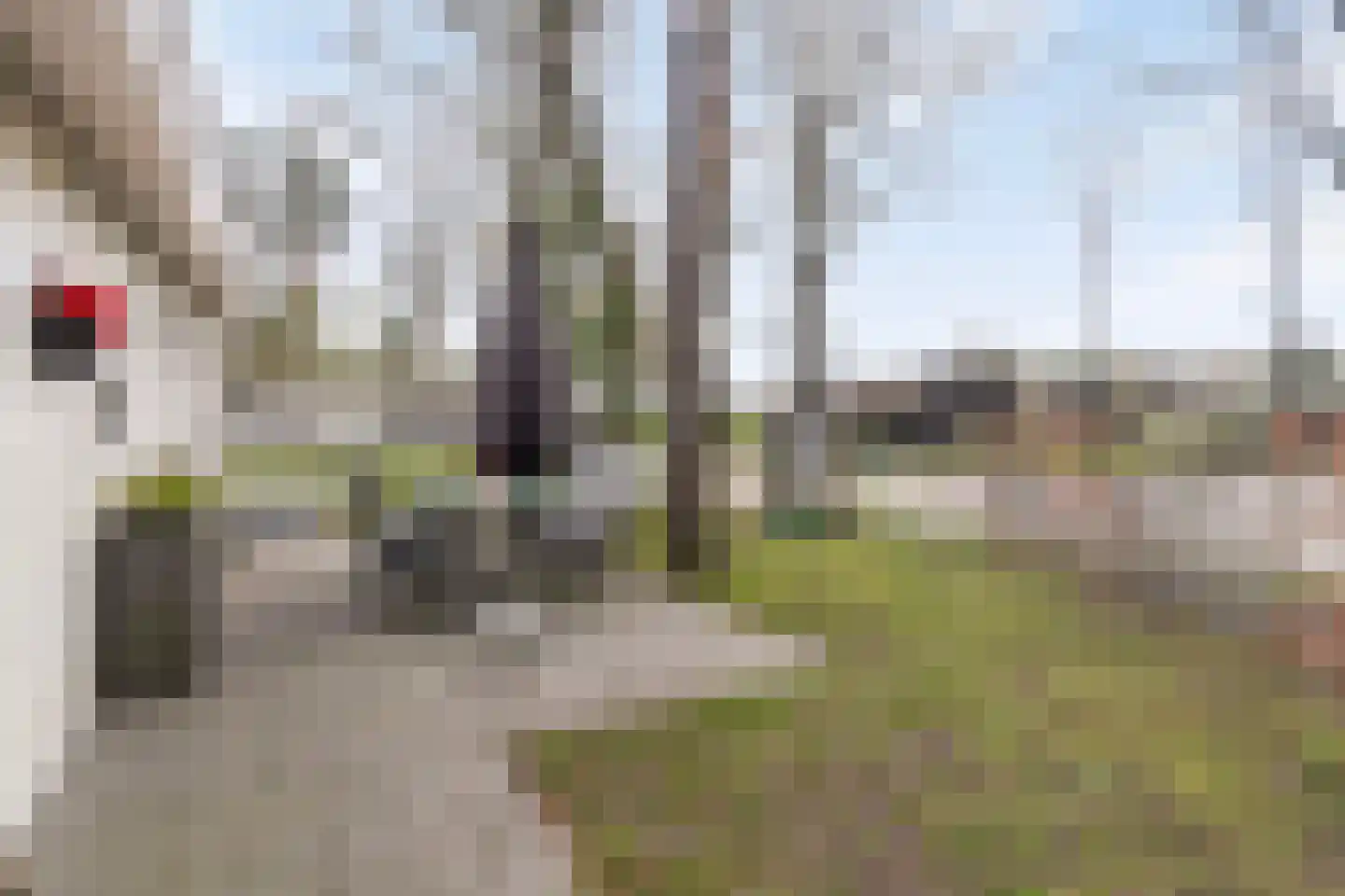 Vijverlaan 1 P01 Otterlo thumbnail 19
