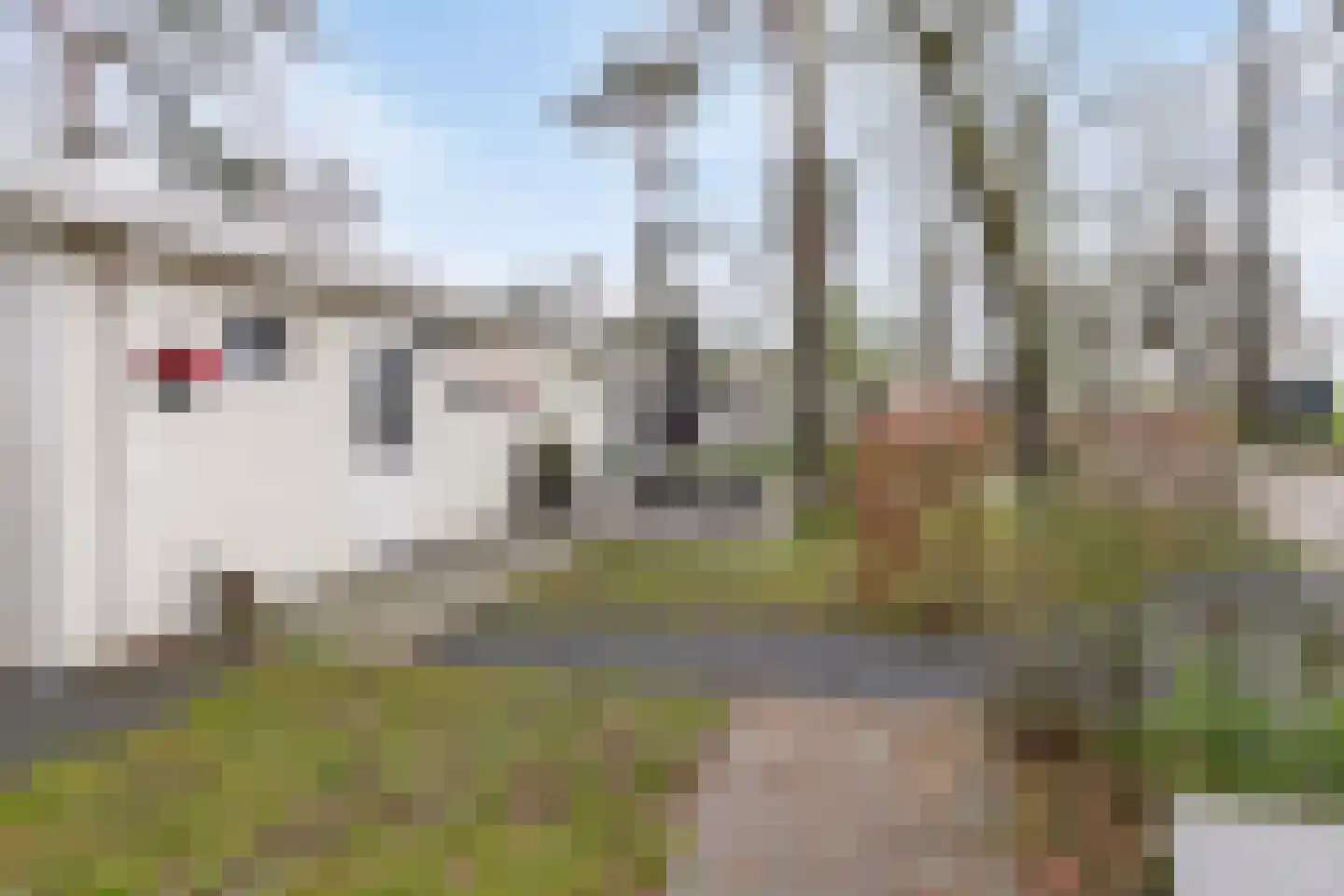 Vijverlaan 1 P01 Otterlo thumbnail 21