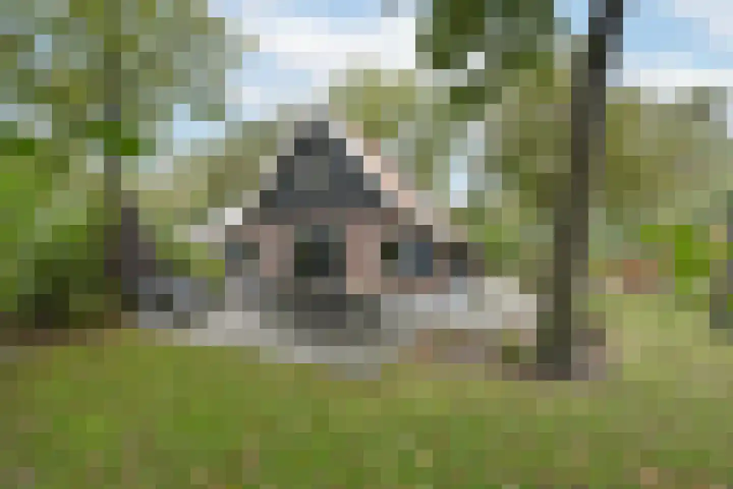 Vijverlaan 1 P38 Otterlo