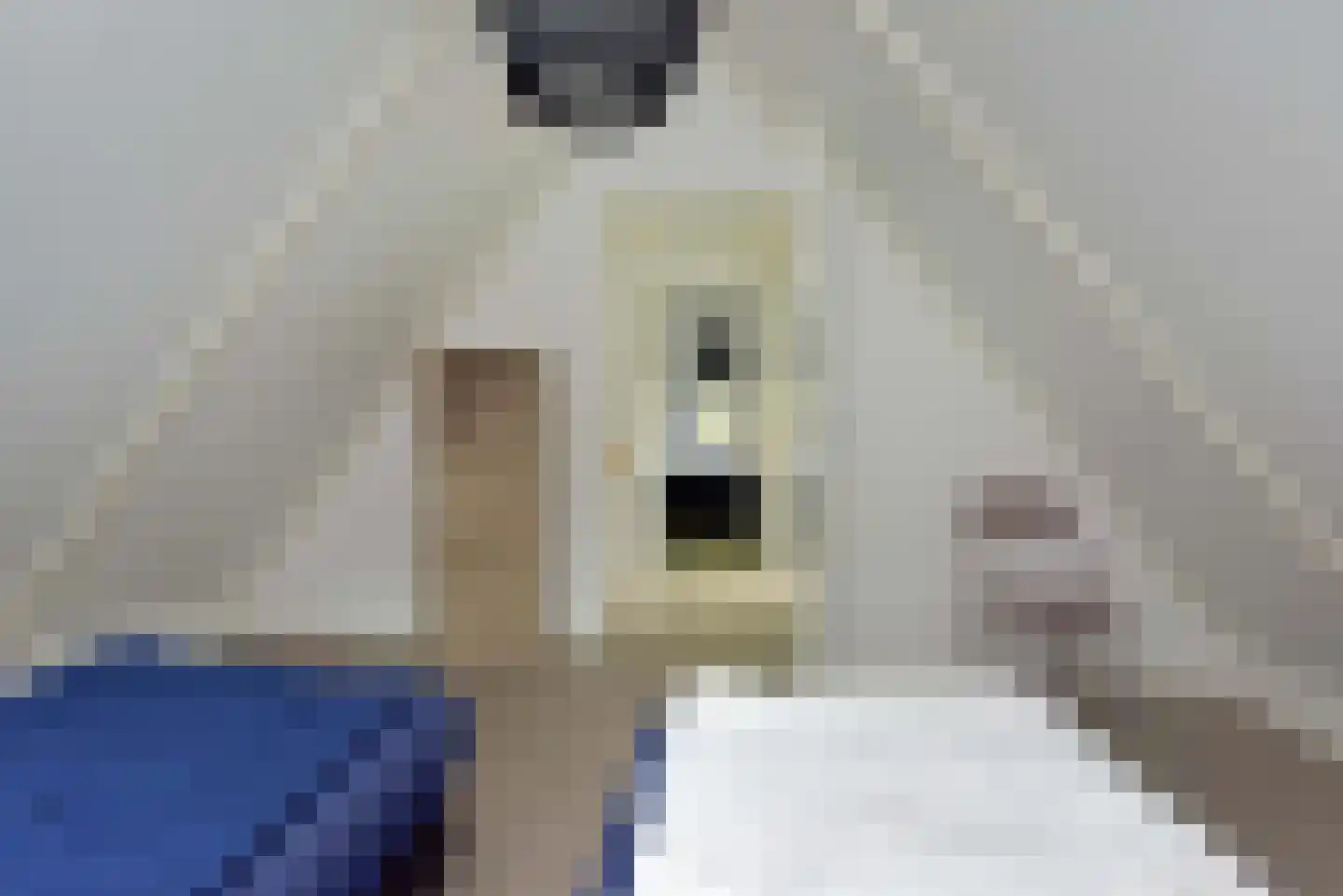 Vijverlaan 1 P38 Otterlo thumbnail 22