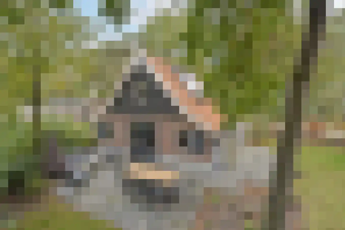 Vijverlaan 1 P38 Otterlo thumbnail 25