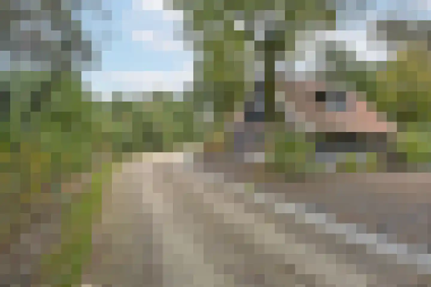 Vijverlaan 1 P38 Otterlo foto 3