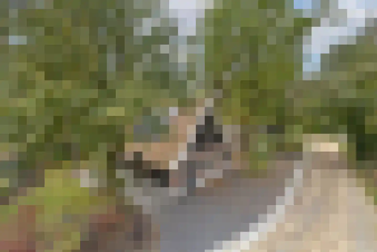 Vijverlaan 1 P38 Otterlo thumbnail 4