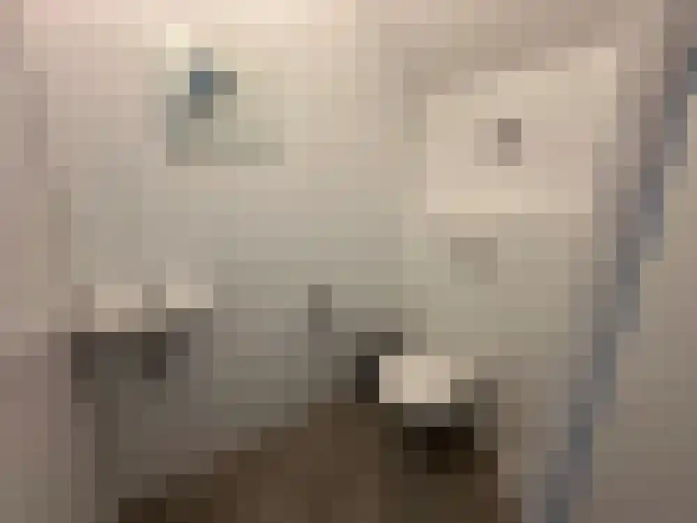 Vijverlaan 1 PB40 Otterlo thumbnail 15