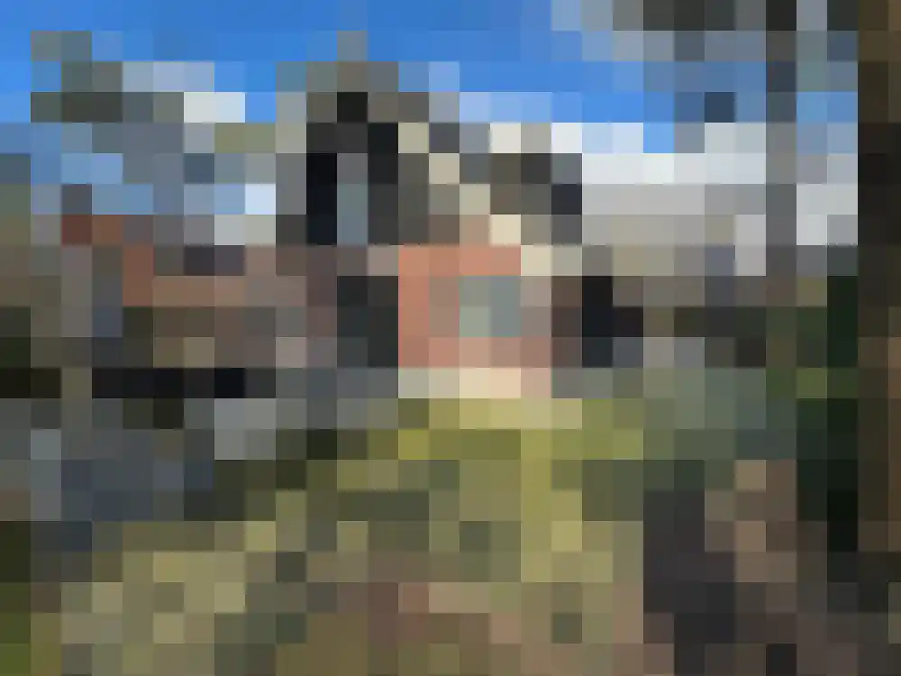 Vijverlaan 1 PB40 Otterlo thumbnail 16