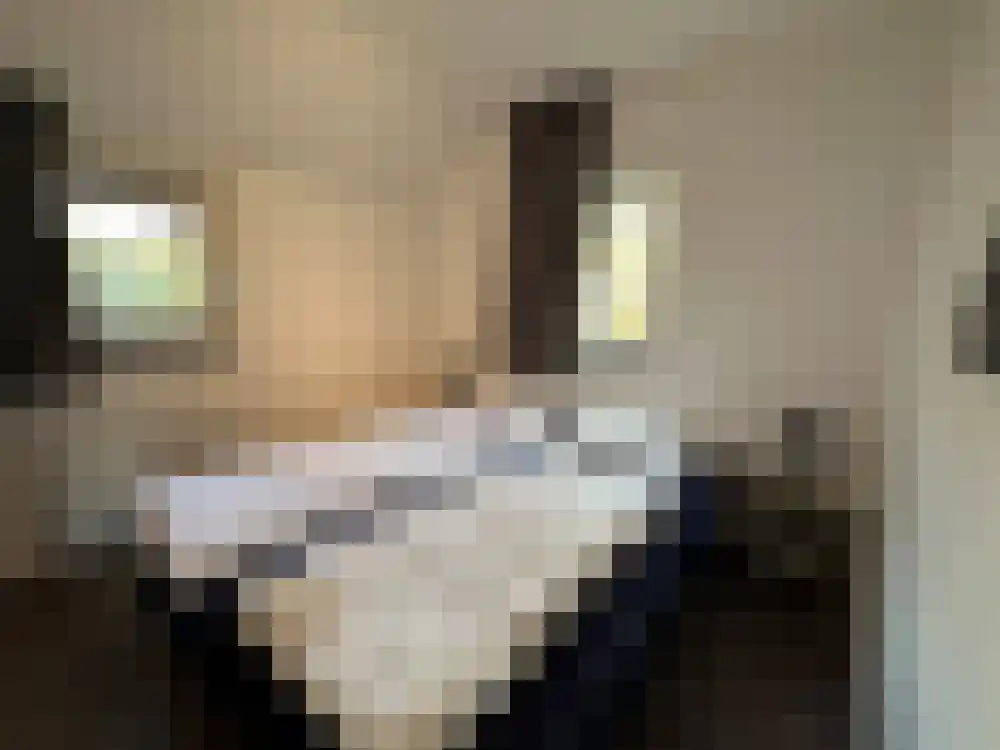 Vijverlaan 1 PB40 Otterlo thumbnail 7