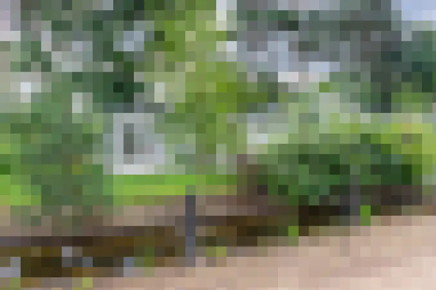 Vijverlaan 1 Q30B Otterlo thumbnail 20