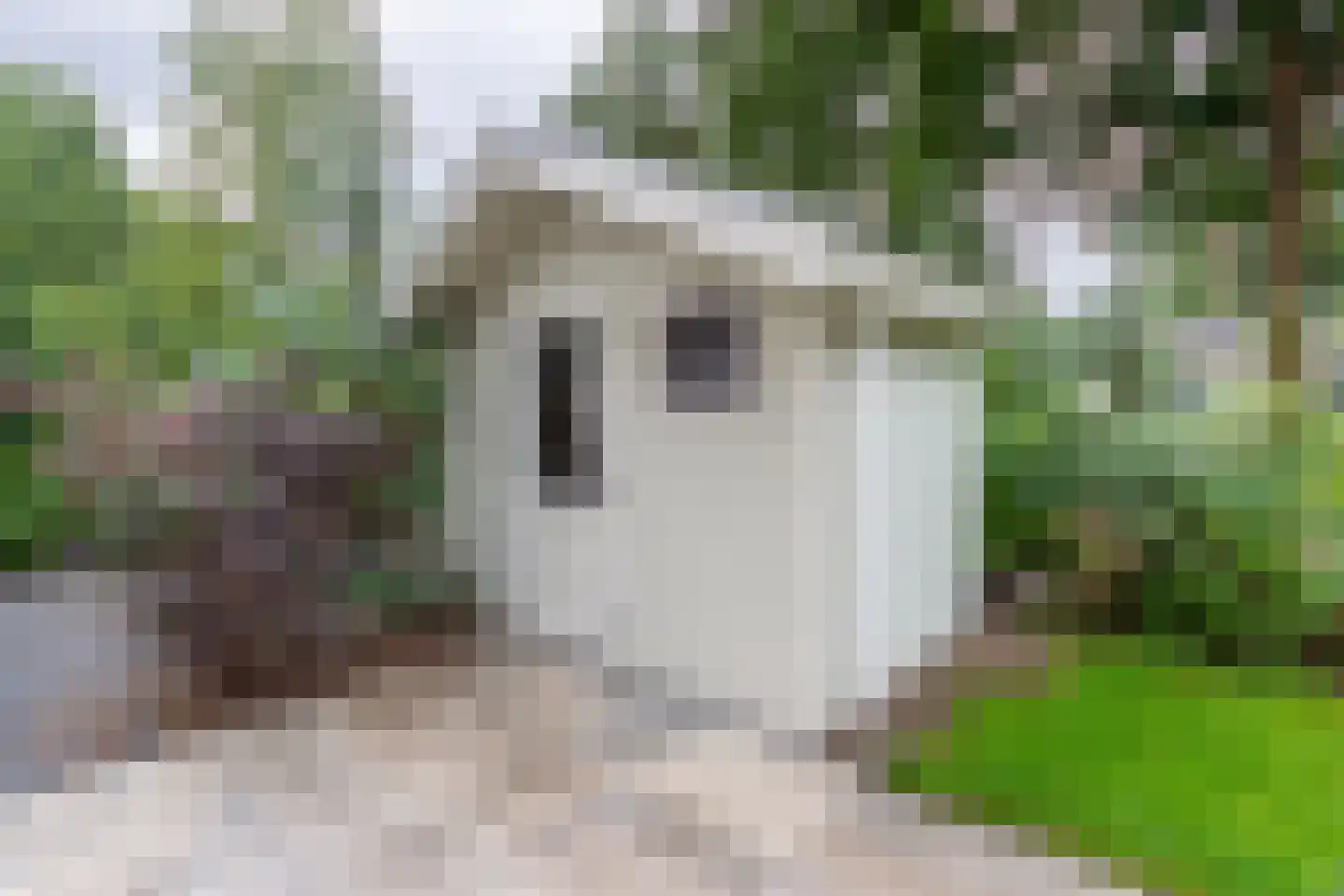 Vijverlaan 1 Q30B Otterlo thumbnail 22