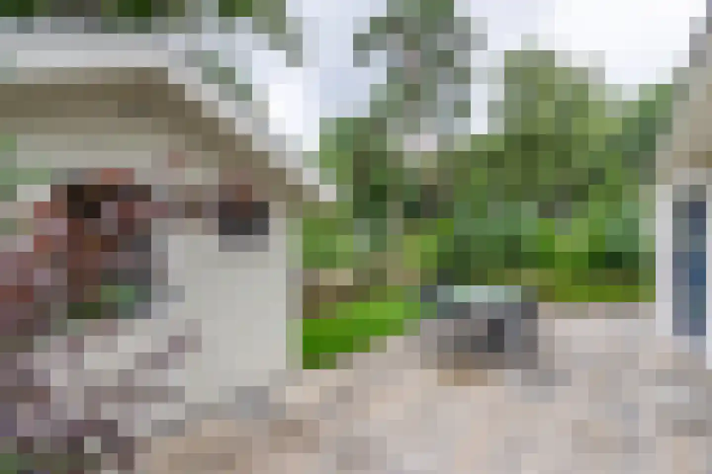 Vijverlaan 1 Q30B Otterlo thumbnail 24