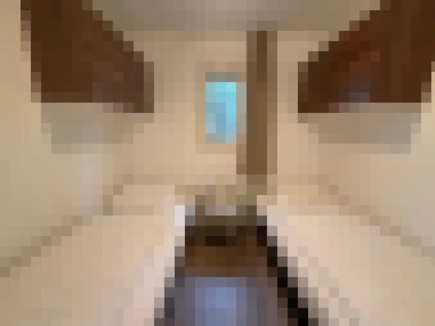 Vijverlaan 1 Q31 Otterlo thumbnail 14