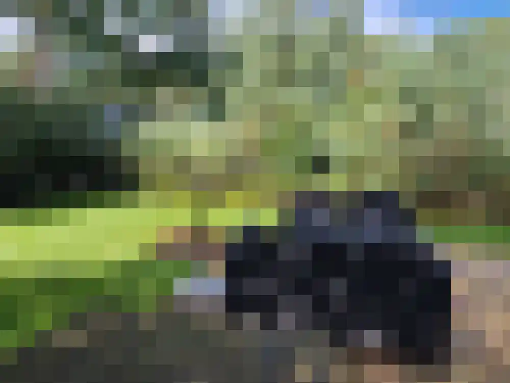 Vijverlaan 1 Q31 Otterlo thumbnail 20