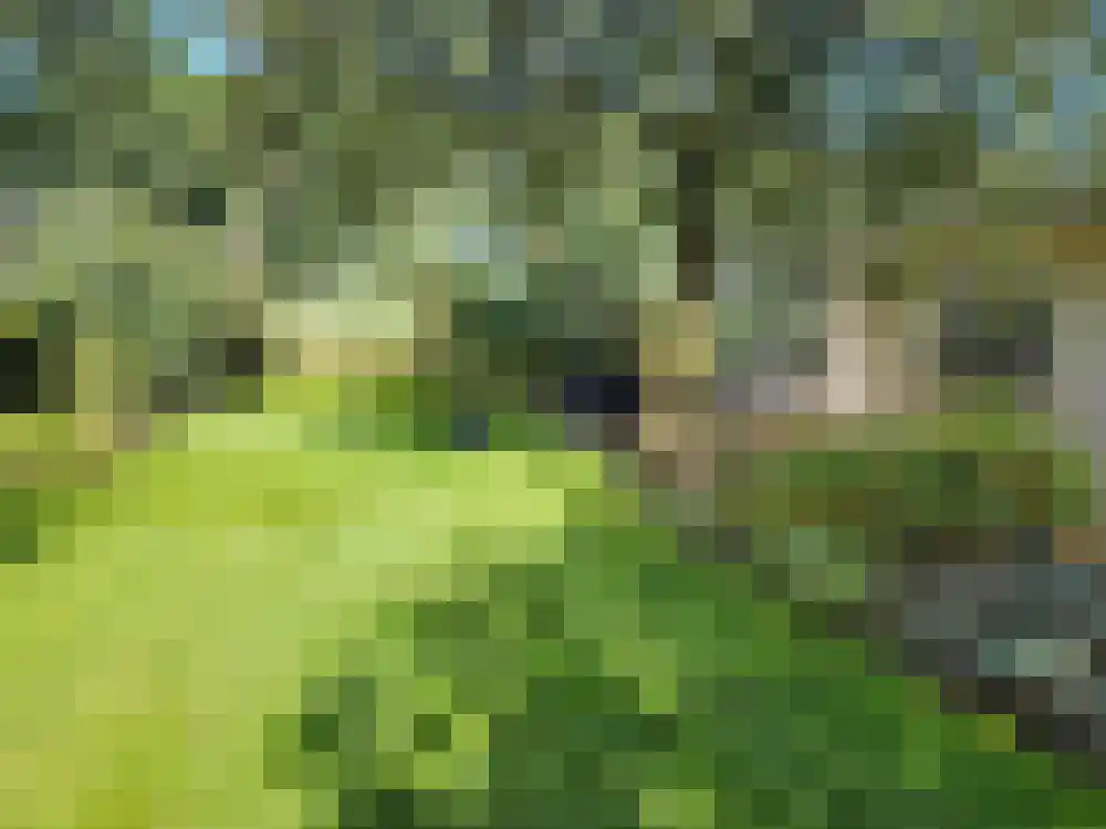 Vijverlaan 1 Q31 Otterlo thumbnail 21