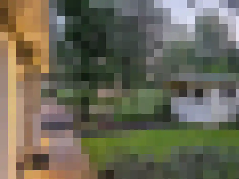 Vijverlaan 1 Q31 Otterlo thumbnail 23
