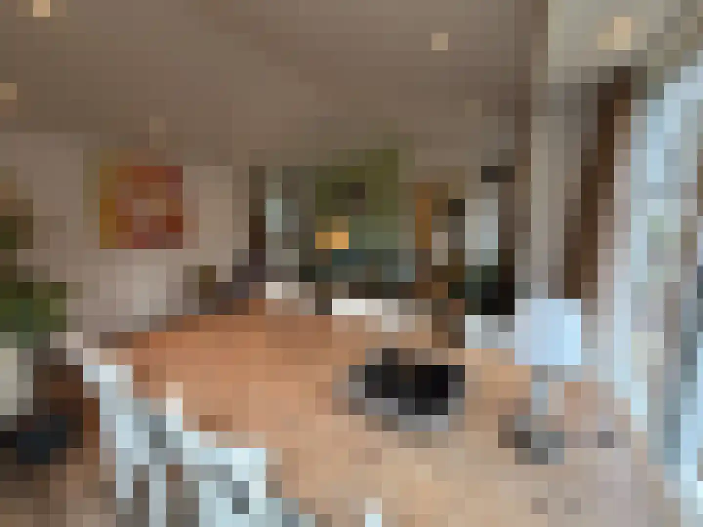 Vijverlaan 1 Q31 Otterlo thumbnail 4